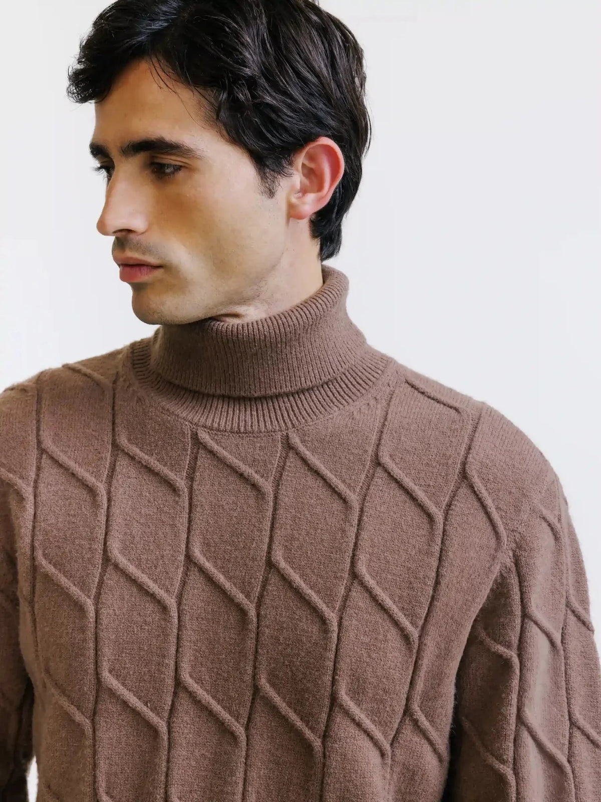 Pull col roulé en maille torsadée tabac Izac