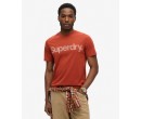 SUPERDRY T-shirt classique Core Logo sur cosmo-lepuy.fr