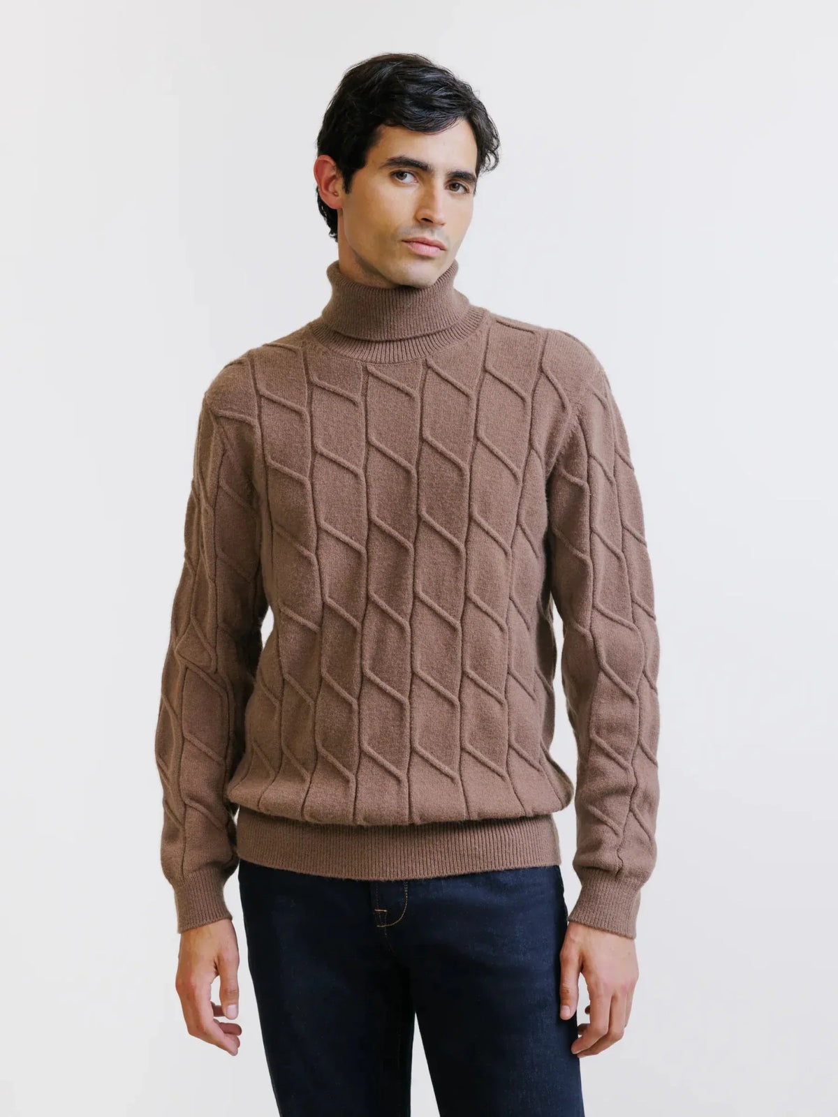 Pull col roulé en maille torsadée tabac Izac